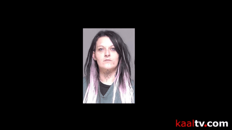 Stewartville Woman Accused Of K Walmart Thefts ABC News Kaaltv Com