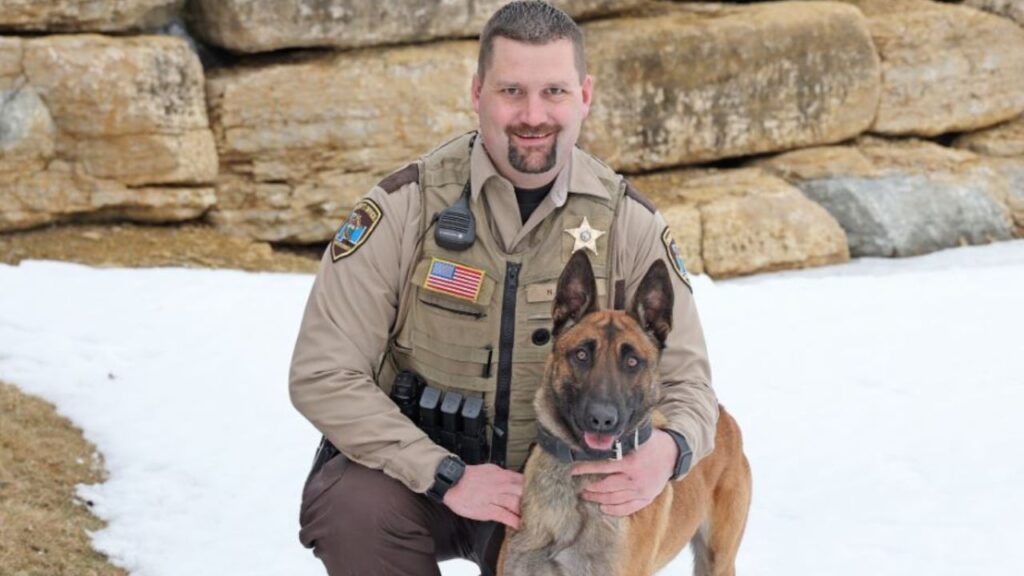 Olmsted County Sheriff's Office welcomes new K9 - ABC 6 News - kaaltv.com