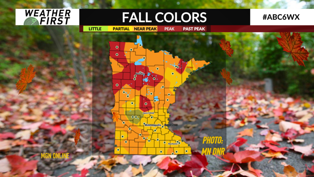 Leaves are bursting with fall color ABC 6 News